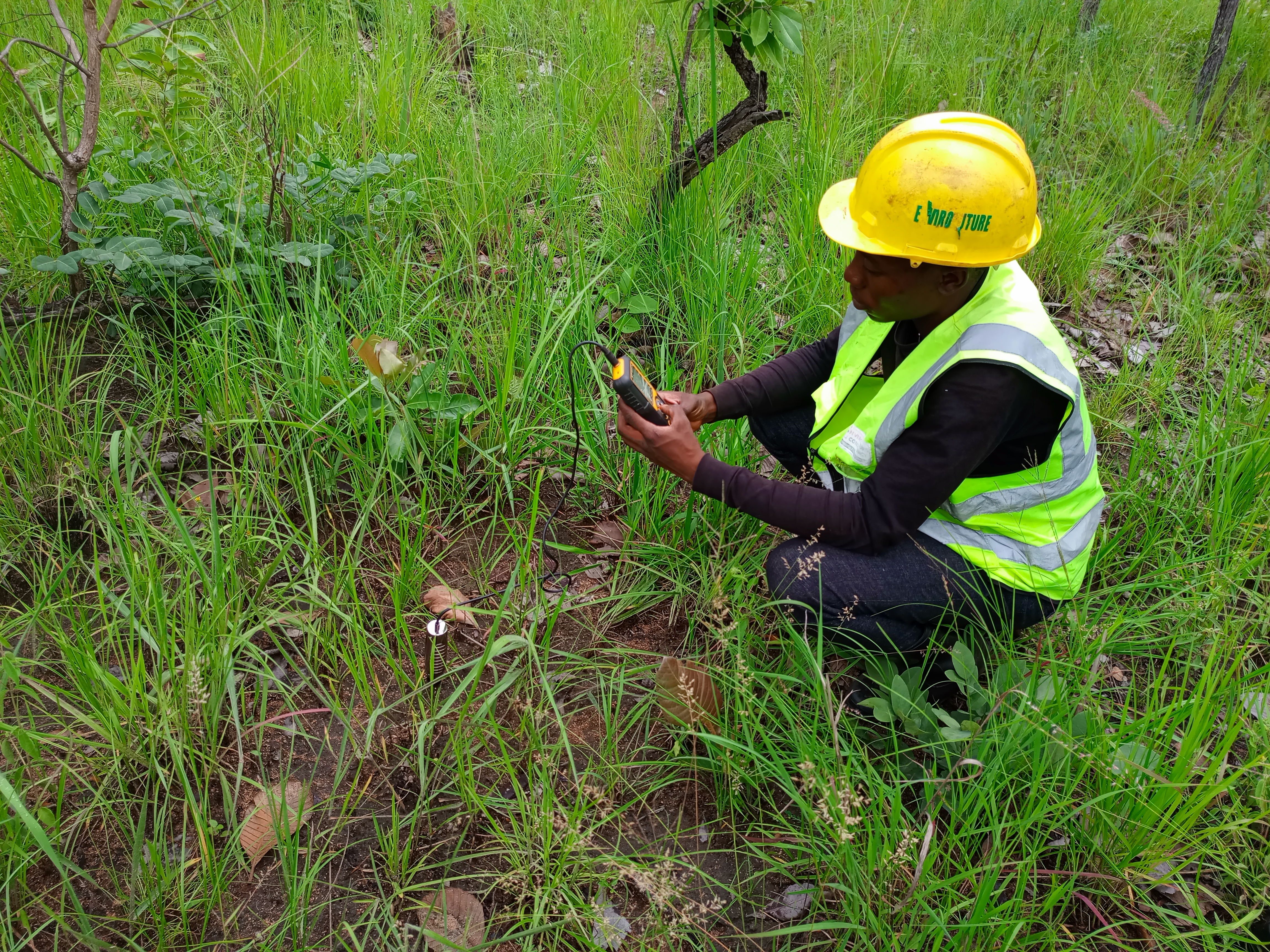 Environmental site work